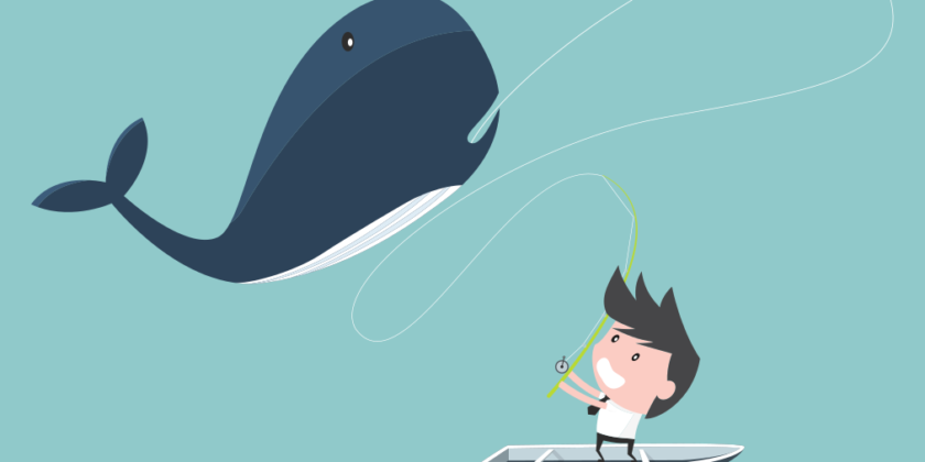 Whale Phishing Explained: Protect Your Business from Targeted Attacks
