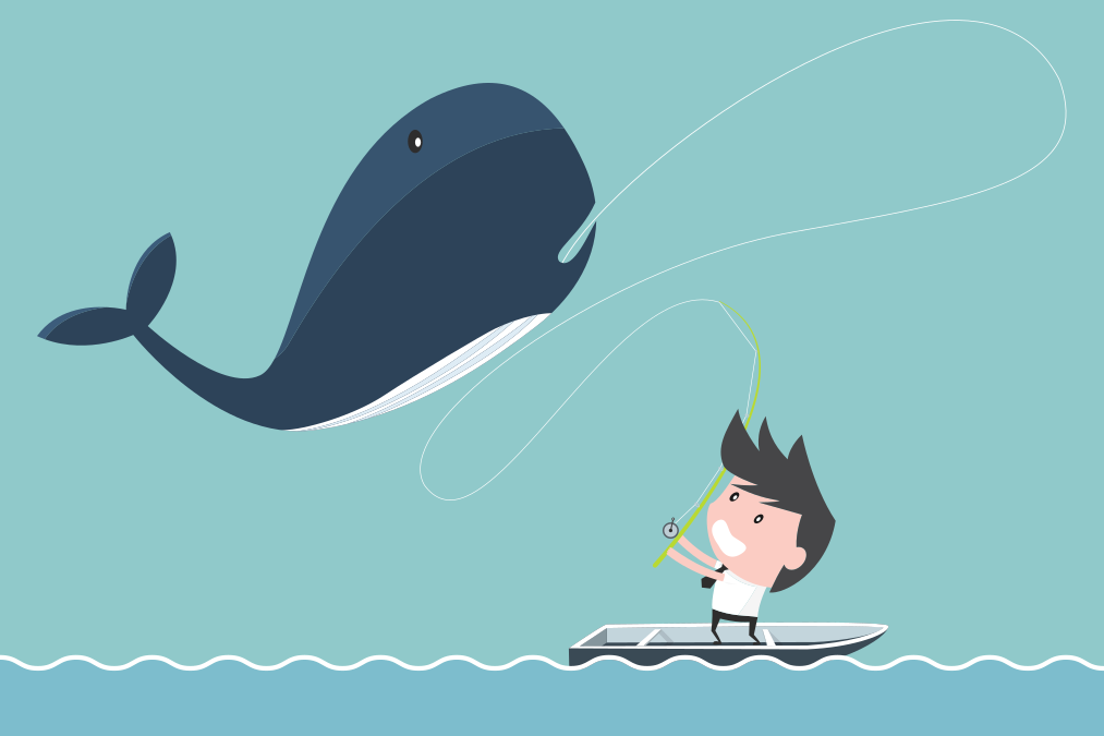 Whale Phishing Explained: Protect Your Business from Targeted Attacks